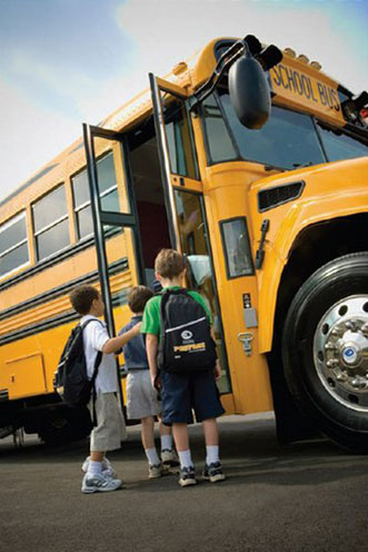 buses